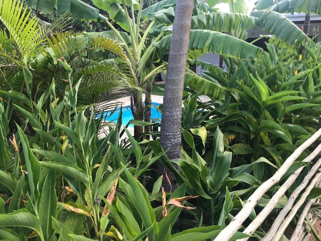62 Hornbill Street Βίλα Saint Lucia Estuary Εξωτερικό φωτογραφία